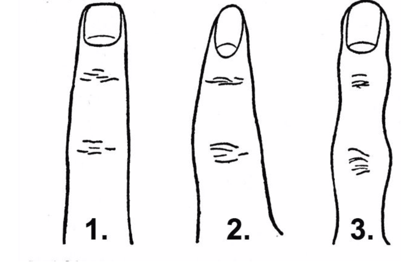 Тест на пальцах рук. Форма пальцев на руках. Типы пальцев на руках. Хиромантия форма руки и пальцев.