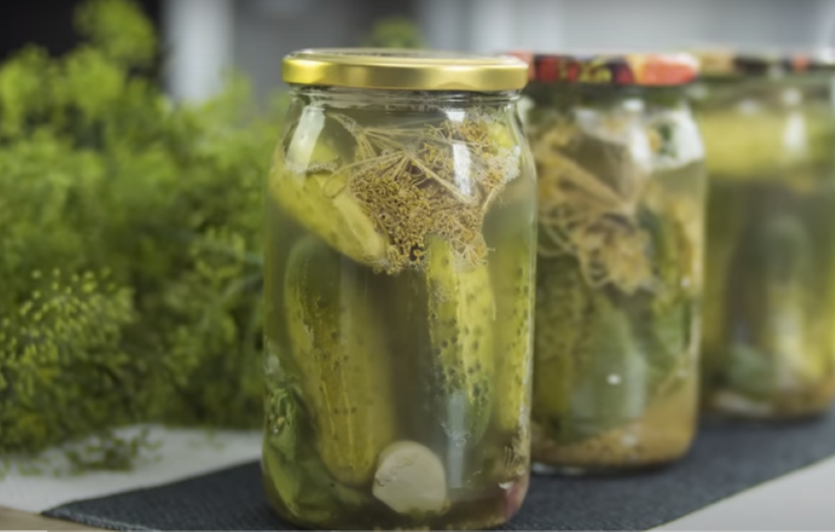 Smak tradycji zamknięty w słoiku. Oto przepis na idealne kiszone ogórki, które przetrwają zimę