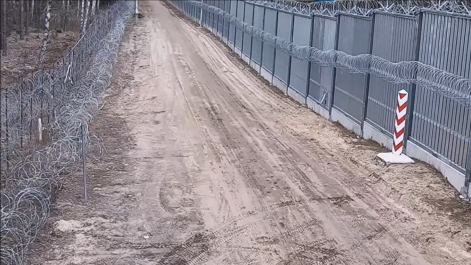 Atak migrantów na granicy z Białorusią. Polski żołnierz poważnie ranny