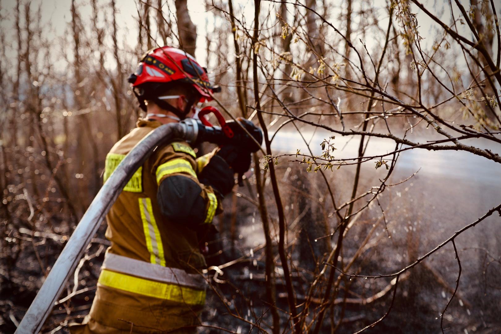 Ogień trawi Biebrzański Park Narodowy. Akcja gaśnicza przez cały czas trwa
