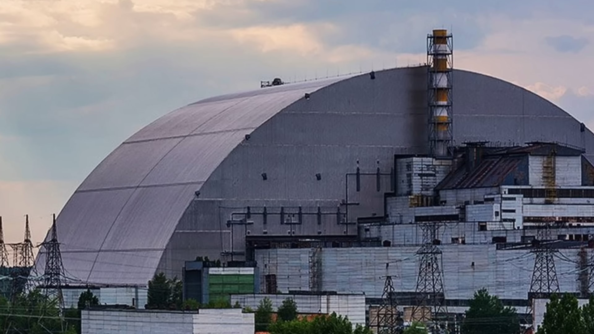 Tajemnicza roślina znaleziona w Czarnobylu. Fragment lasu pod ścisłym nadzorem