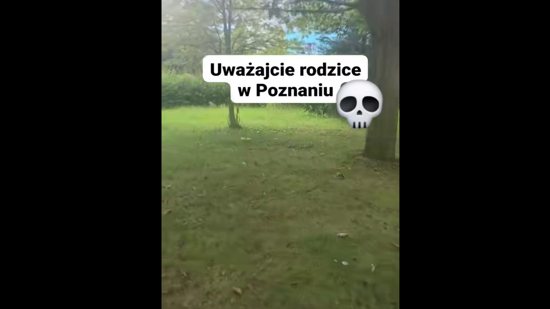 „Uważajcie, rodzice z małymi dziećmi”. Alarmujące nagranie z polskiego osiedla