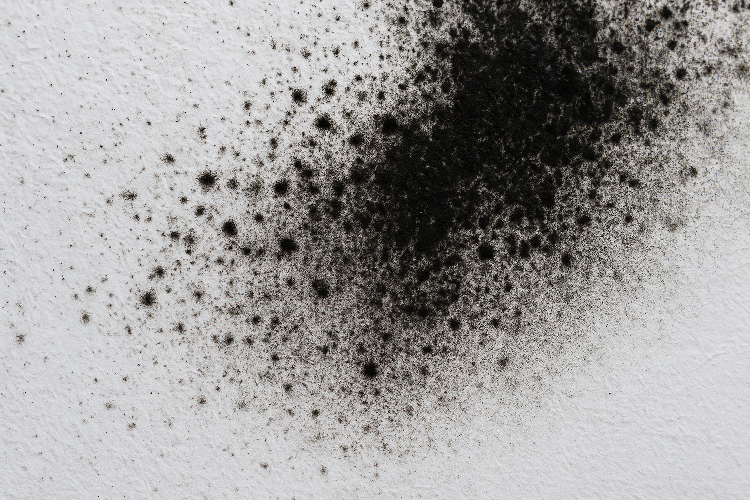 Czarna pleśń nie wróci! Skuteczne triki na ochronę ścian