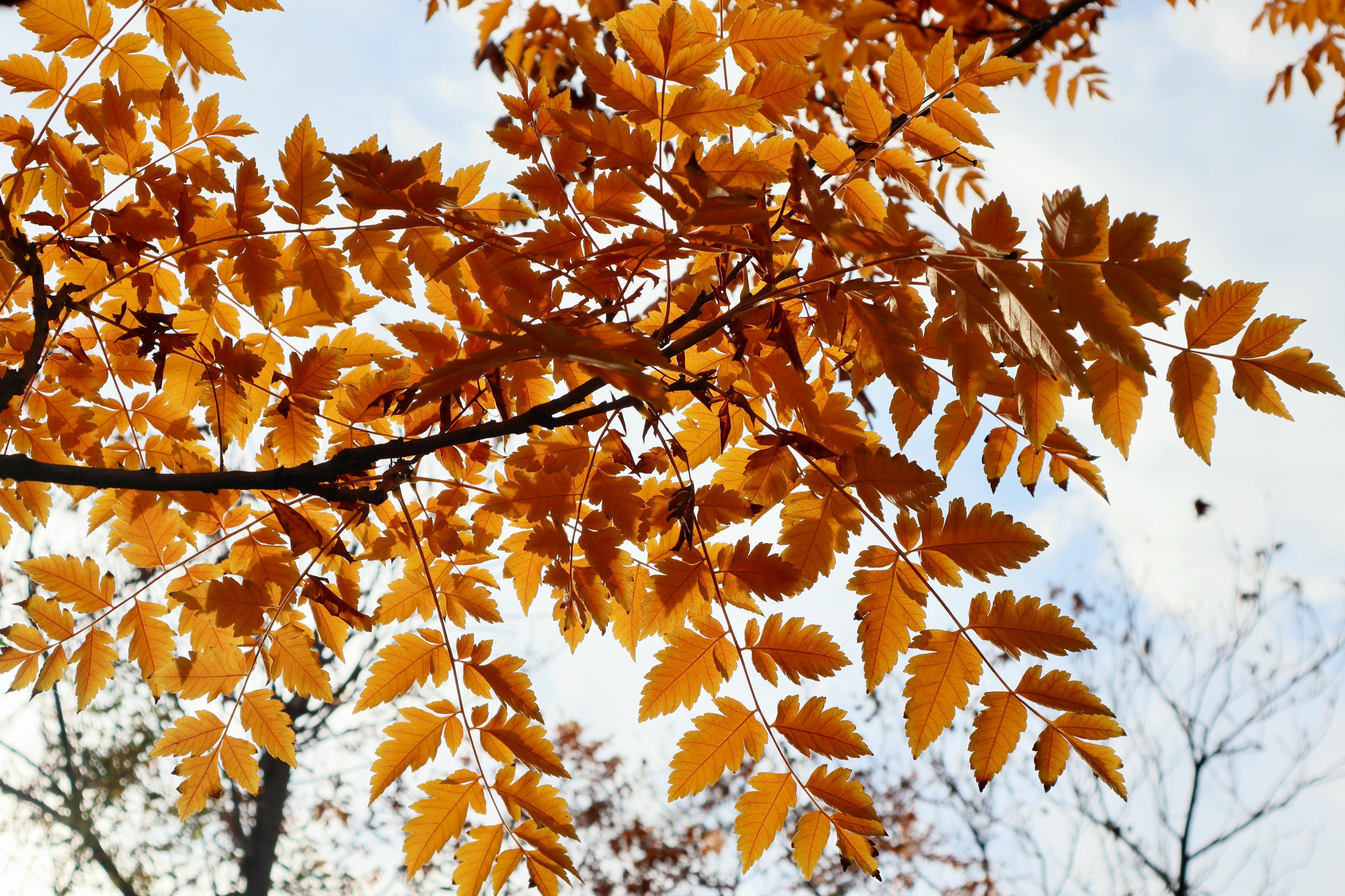 Zacznie się 30 października. Pogoda całkowicie się zmieni