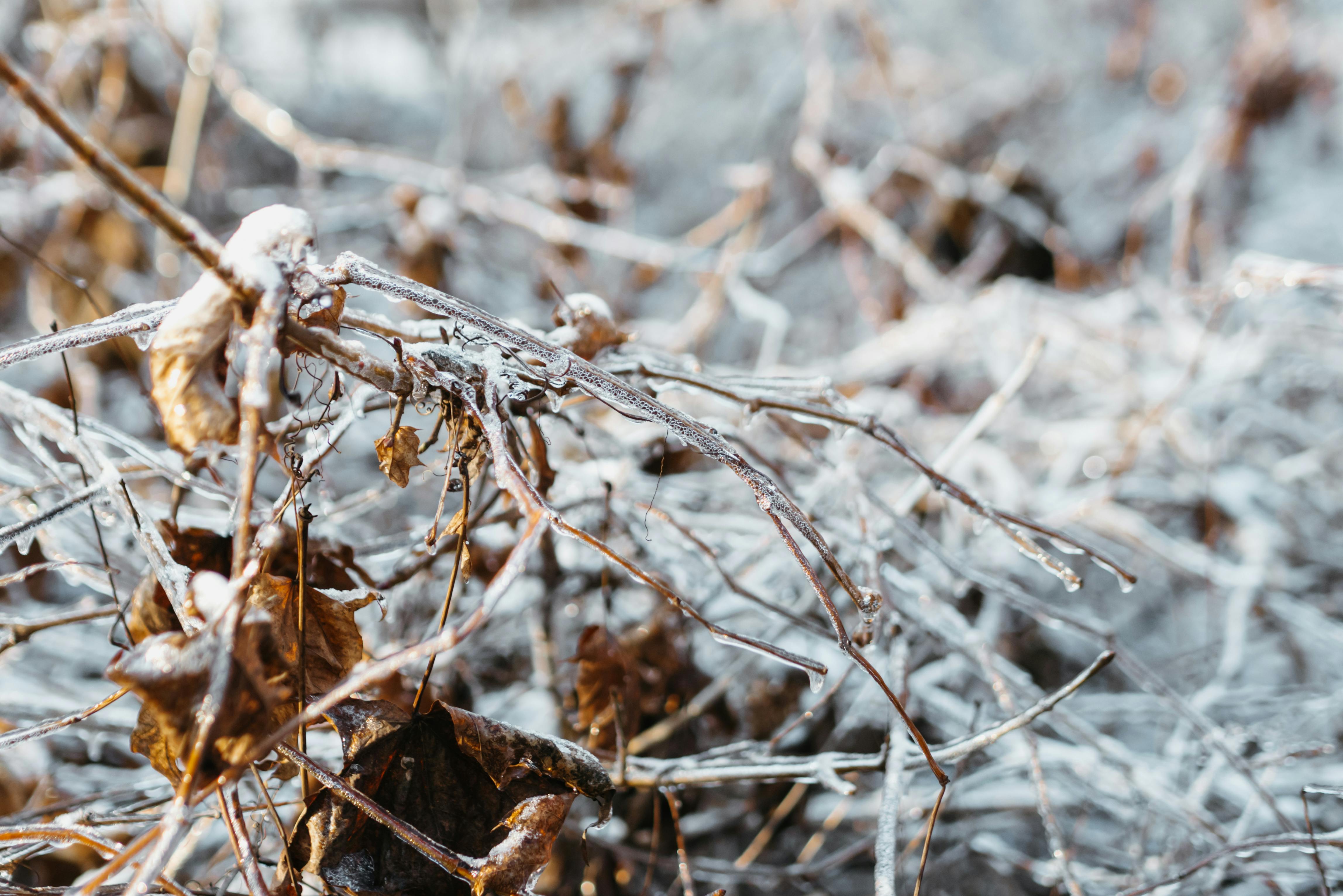 Sztab kryzysowy w gotowości. Zima komplikuje sytuację w Sylwestra