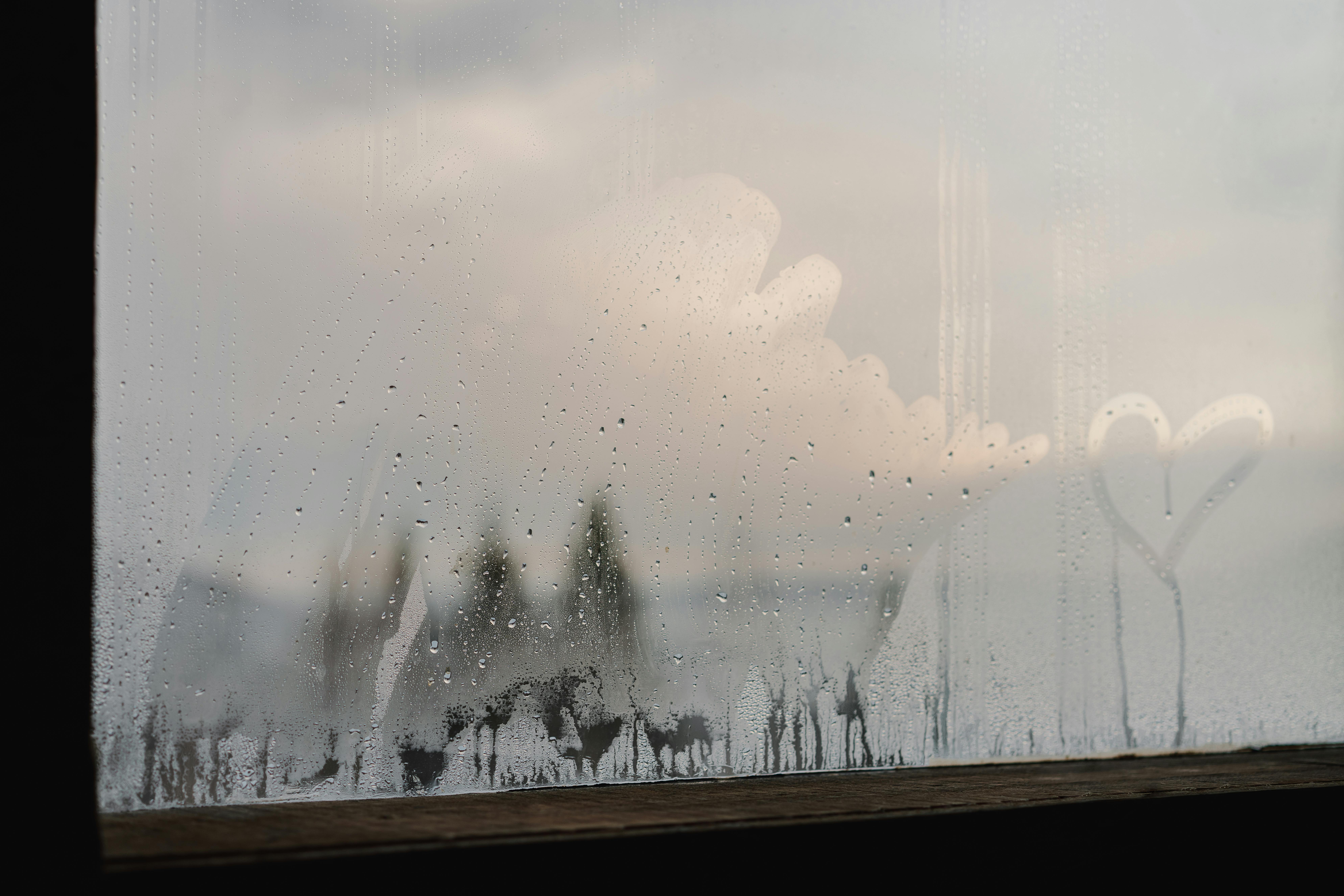 Początek lutego 2026 przyniesie odwilż. Ten prosty trik pomoże pozbyć się wilgoci i zaparowanych okien