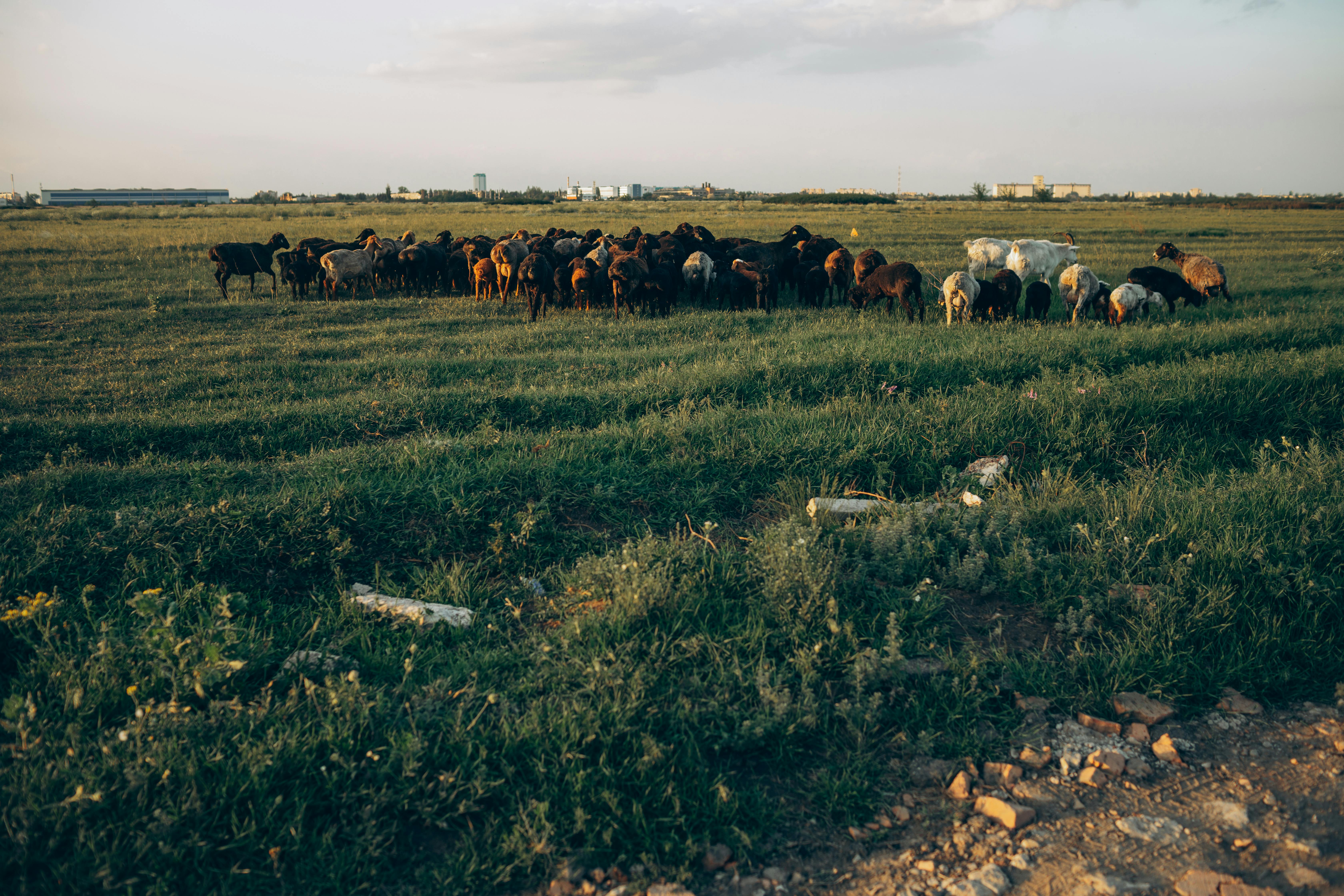 Rolnicy zapłacą choćby 65 tys. zł. Nowe prawo zacznie obowiązywać już w marcu