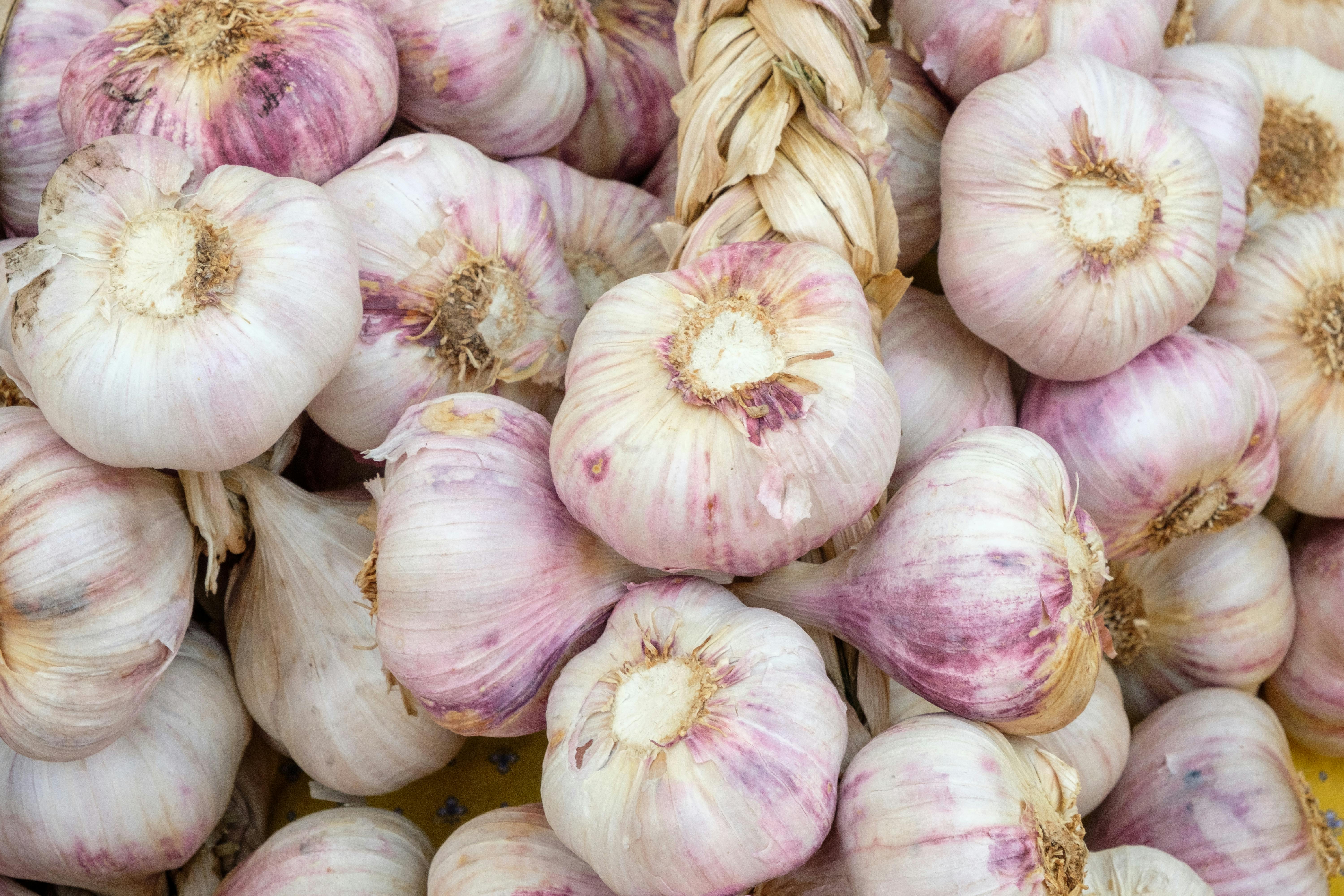 Czosnek w kwietniu potrzebuje wsparcia. Ten prosty zabieg może zdecydować o wielkości główek