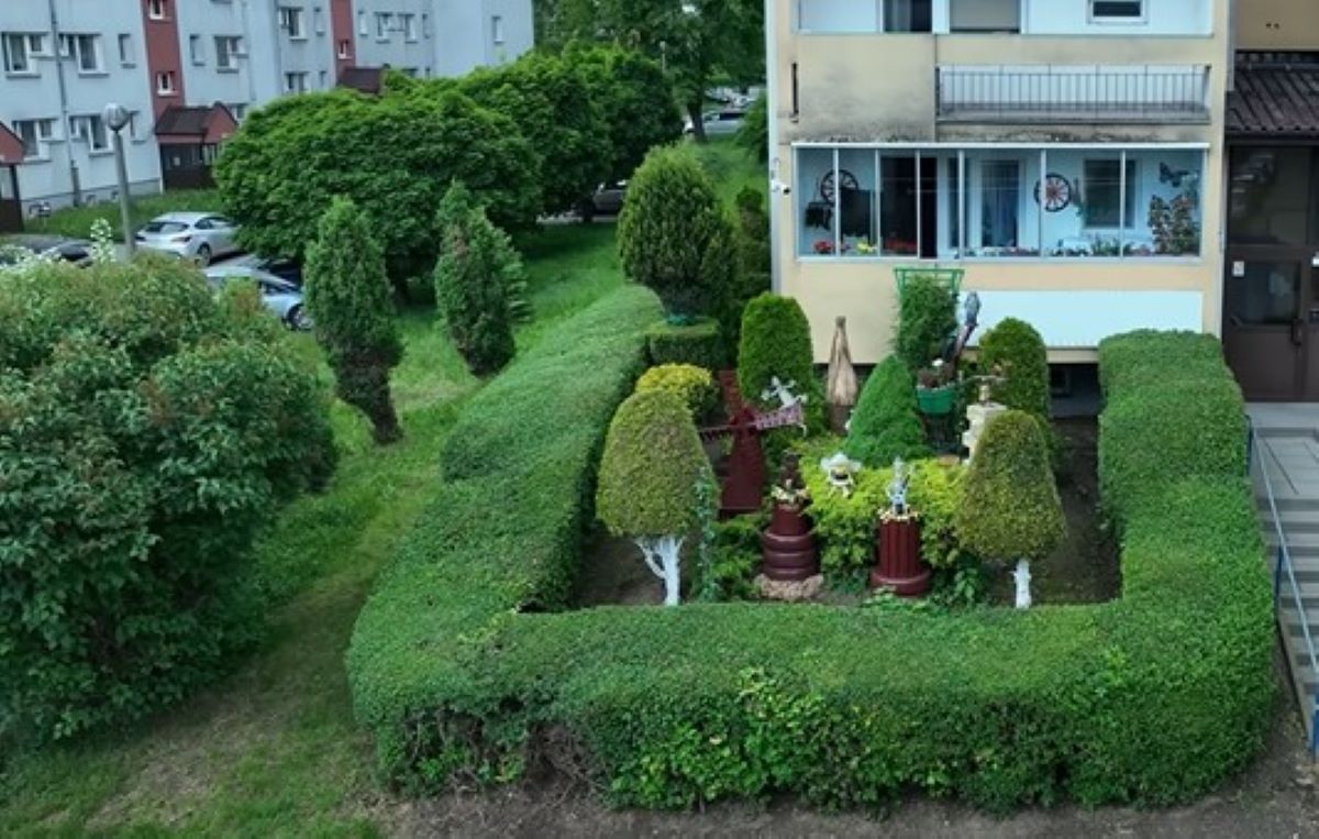 Posadzisz to pod blokiem. Możesz mieć poważny problem