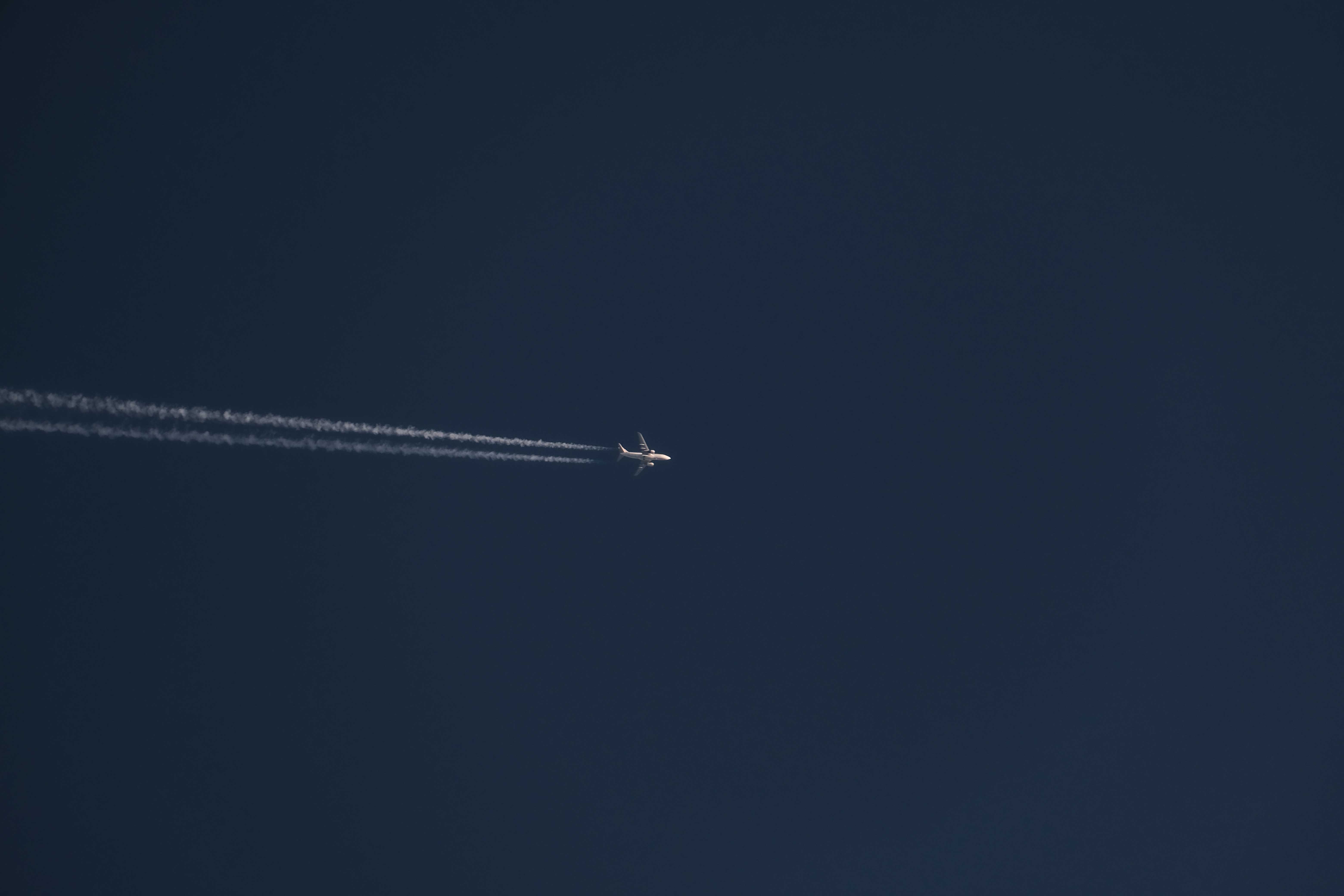 Samolot spadł na teren leśny. Wiadomo, co stało się z pilotem