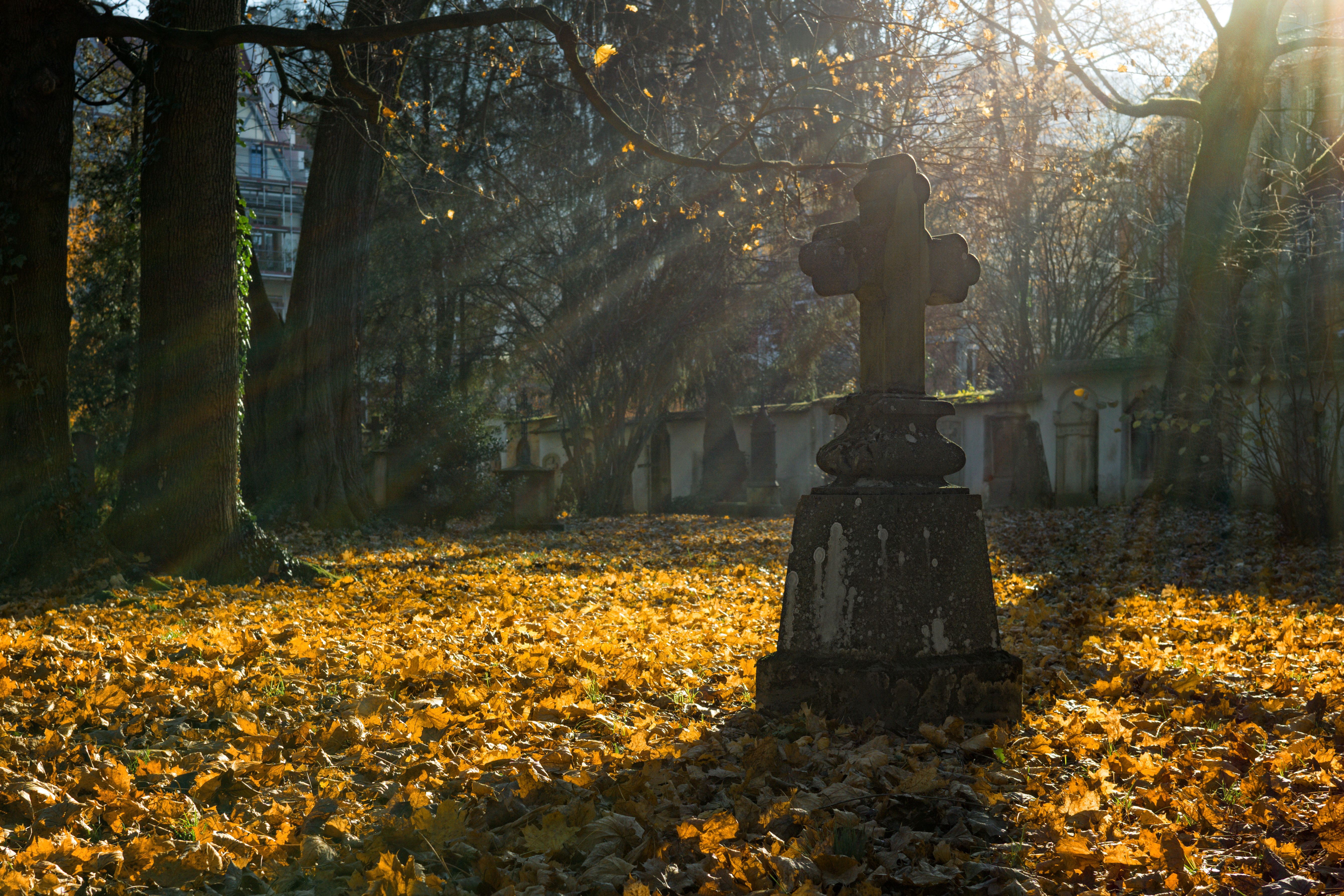Z życia wzięte. Rodzina kłóciła się o koszt pomnika, choć babcia zostawiła na niego pieniądze. Stary zeszyt ujawnił, kto zabrał kopertę